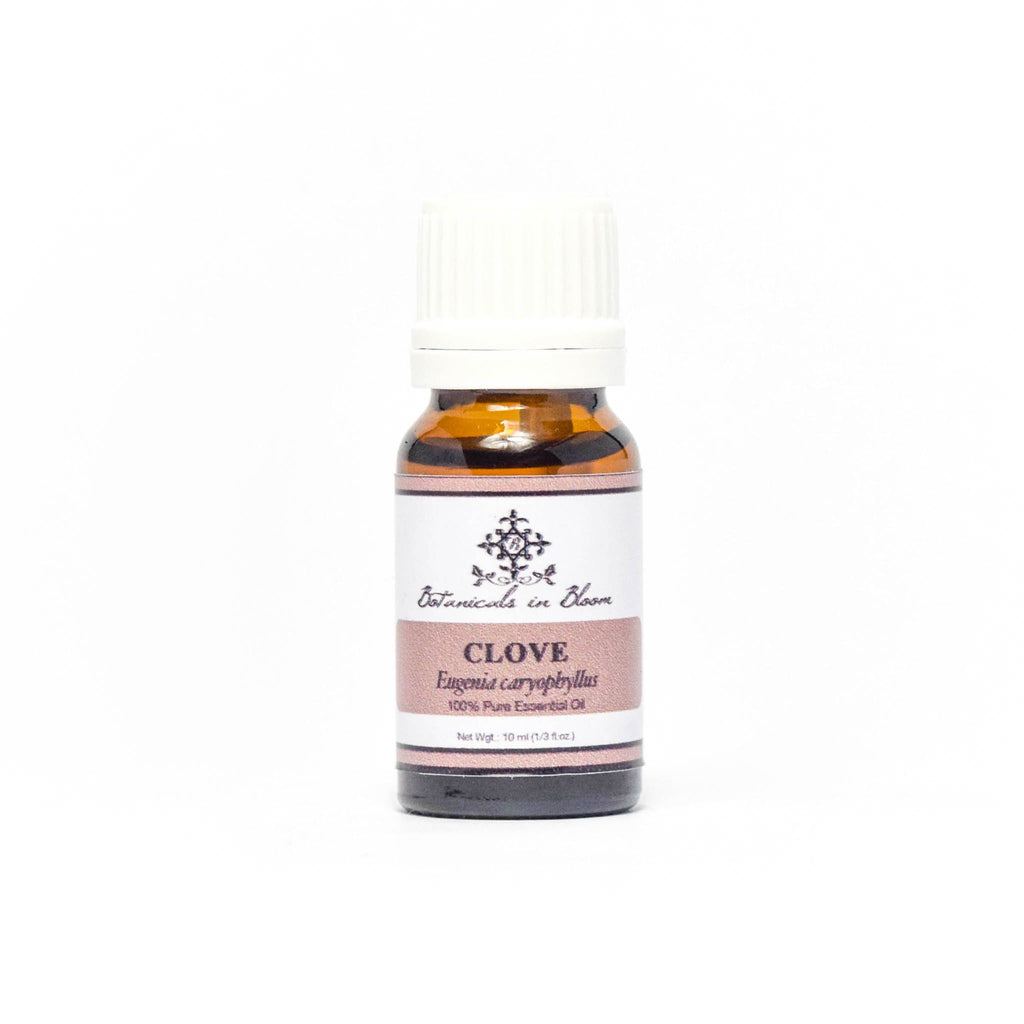 Buy Clove Essential Oil Botanicals in Bloom