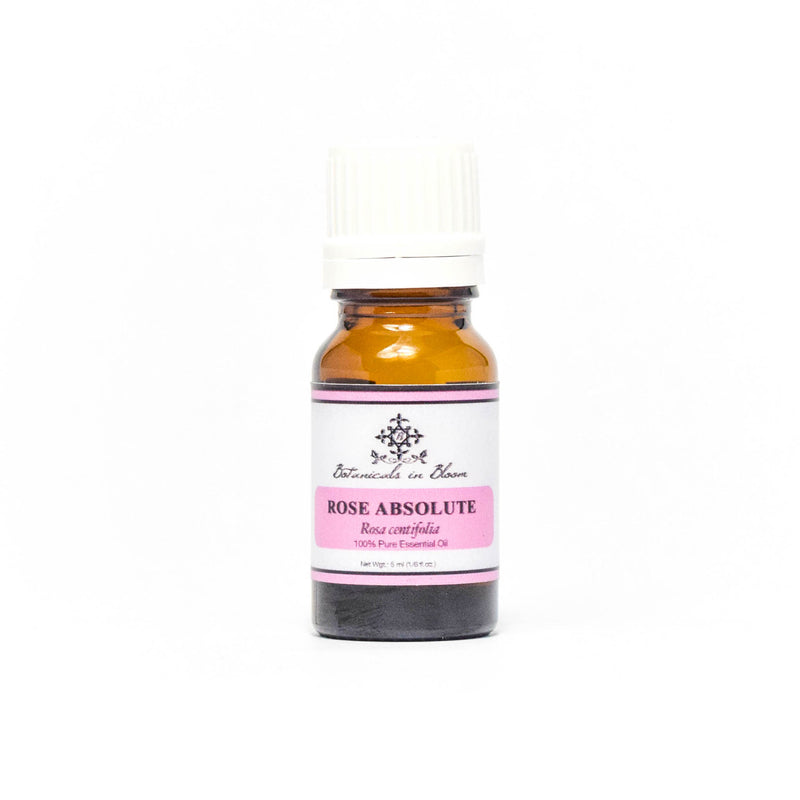 Rose Absolute Oil
